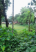 Extensive land sale adjacent to SKS Inn Resort-  Gaibandha
